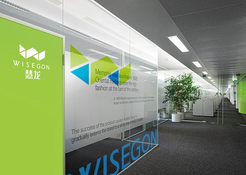 慧龍環(huán)?？萍?品牌設(shè)計(jì)