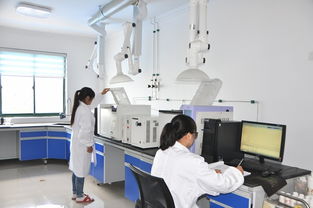 攜環(huán)保與經(jīng)濟(jì)共達(dá)彼岸 安慶新媒體經(jīng)濟(jì)行走進(jìn)安慶鑫祥瑞環(huán)?？萍? />
</span>
<span id=